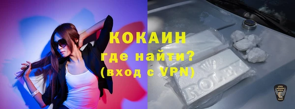 стафф Осташков