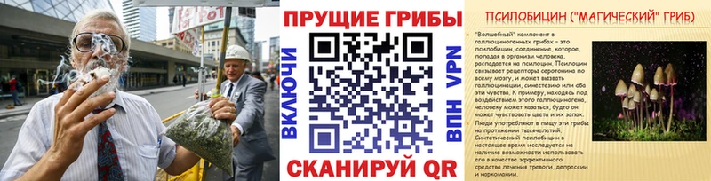 цена наркотик  MEGA сайт  Галлюциногенные грибы GOLDEN TEACHER  Руза 