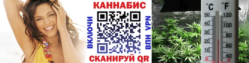 Шишки марихуана ГИДРОПОН  Руза 